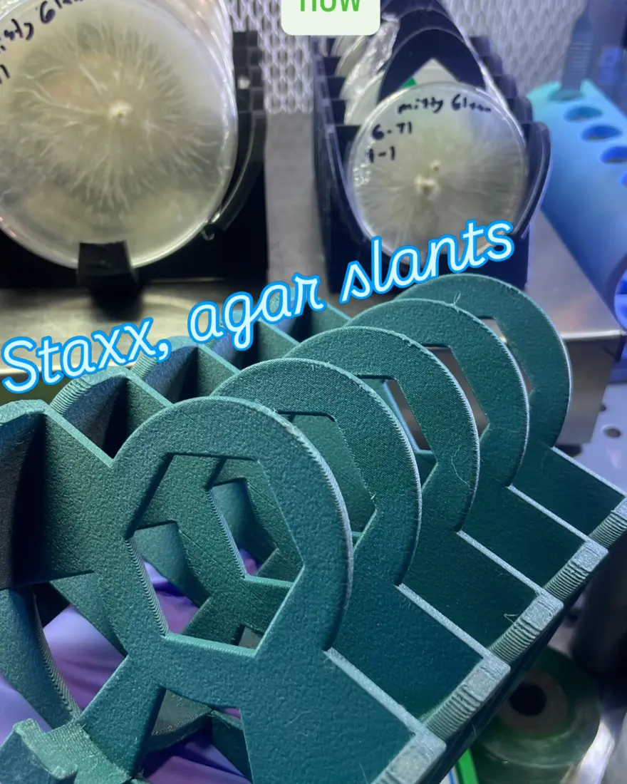 Agar dish stacks…”Slanted 5 slots” by TecheGenetics