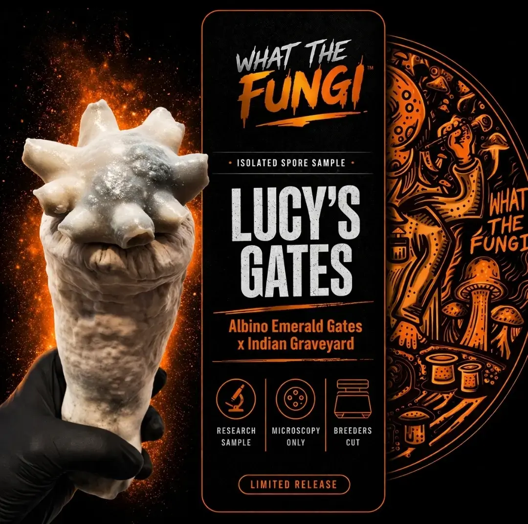 Lucy's Gates Spores & Genetics | Psilocybe cubensis | Culture Cave