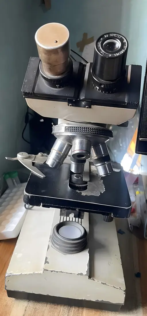 Compound Student Microscope 40X-1000X - AmScope by MycoWorld