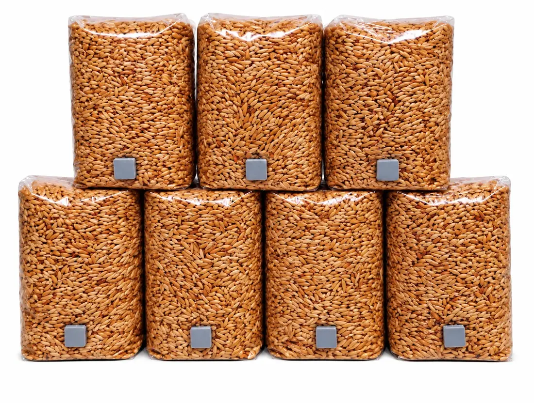 STERILIZED GRAIN BAGS 2KG by Aus Myco Kingdom
