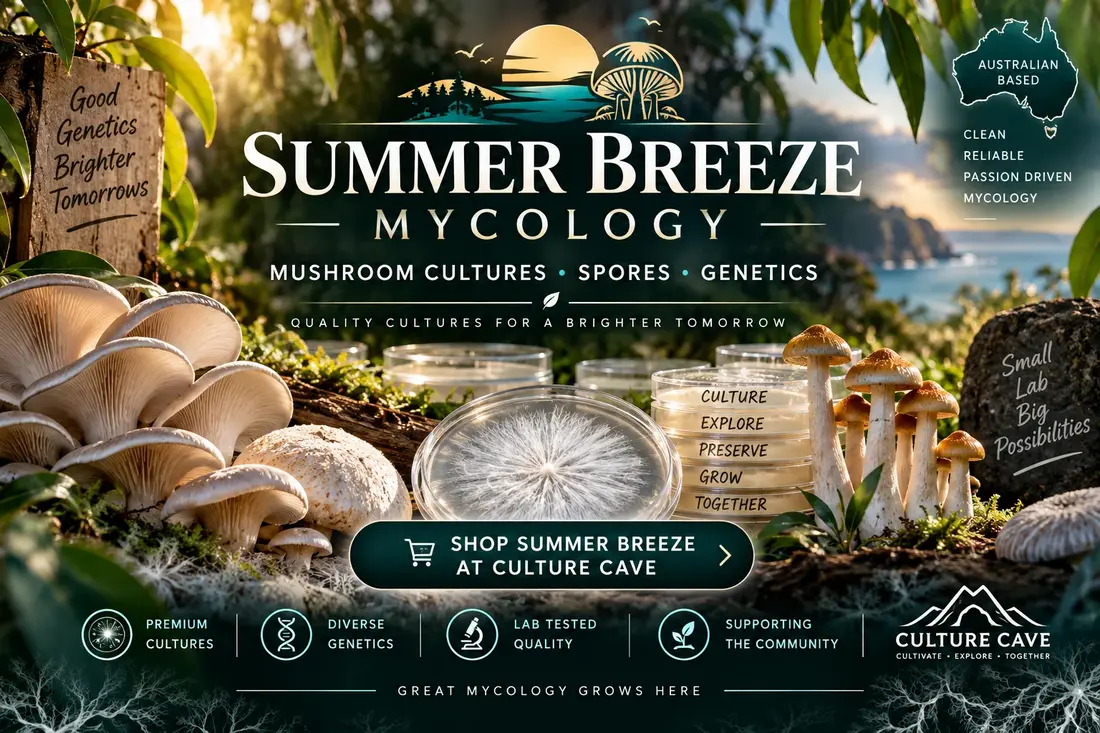 SUMMERBREEZE MYCOLOGY — AVAILABLE THROUGH CULTURE CAVE by What The Fungi