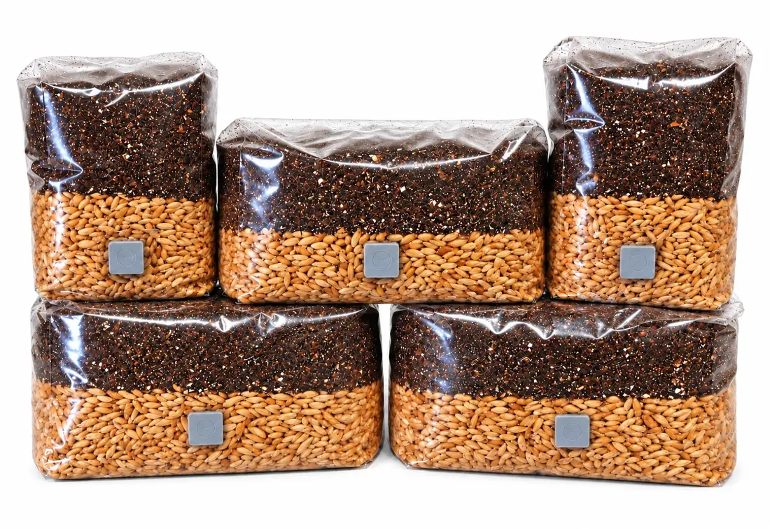 ALL IN ONE GROW BAGS 2KG by Aus Myco Kingdom