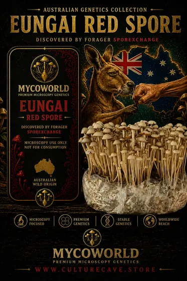 Pan Cyan Eungai ”Red Spore ” iso Spore Syringe 10ml by MycoWorld