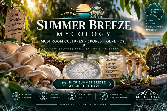 SUMMERBREEZE MYCOLOGY — AVAILABLE THROUGH CULTURE CAVE by What The Fungi