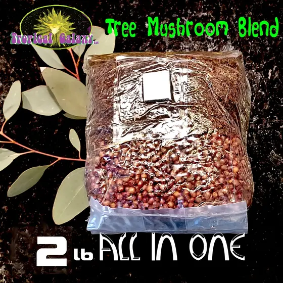 2lb All in One Mushroom Grow Bag: Wood and Soy Substrate
