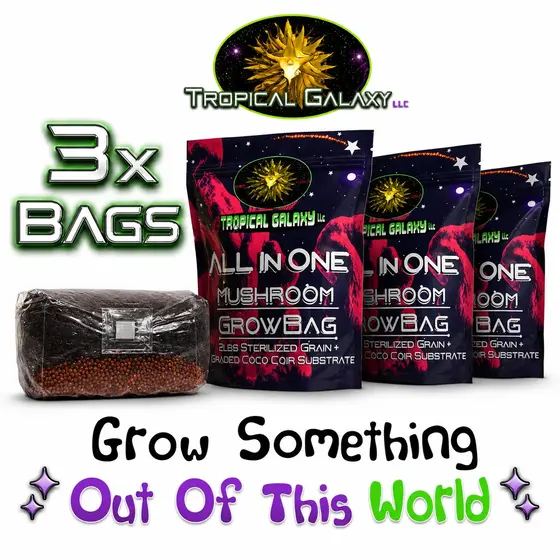 3x All-in-One Mushroom Grow Bags