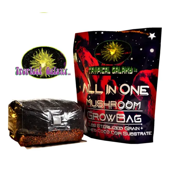 2lb All-in-One Mushroom Grow Bag