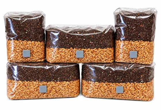 ALL IN ONE GROW BAGS 1KG by Aus Myco Kingdom