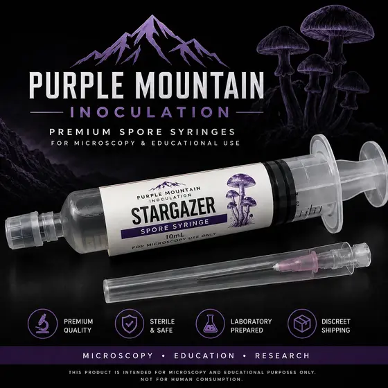 Stargazer by Purple Mountain Inoculation