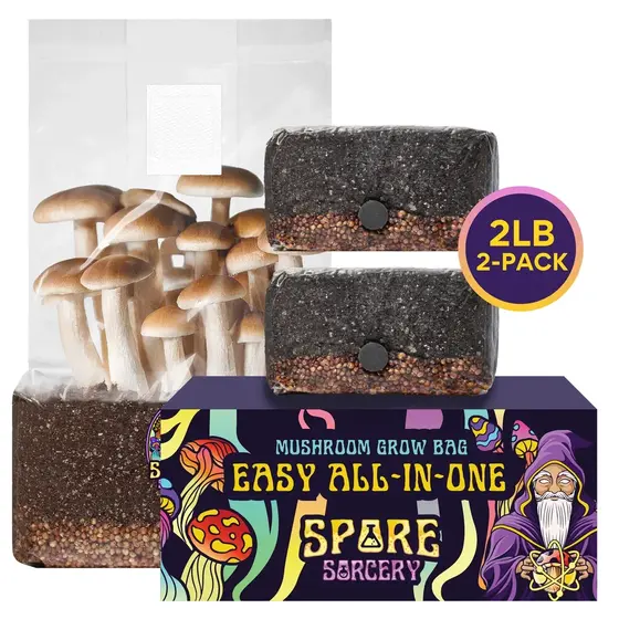 2 Pack 2lb All-In-One Mushroom Grow Kit In Bag (Spores Not Included) | FREE SHIPPING