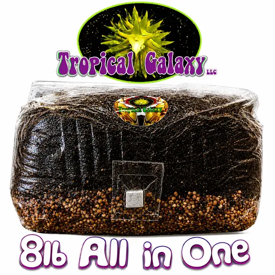 8lb All-in-One Super Sized Mushroom Grow Bag