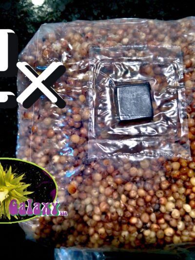 2x Bags Sterilized Mushroom Grain Bags  2x Bags Sterilized Mushroom Grain Bags
