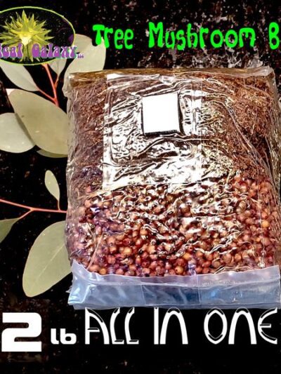 2lb Culinary All in One Mushroom Wood and Soy Grow Bag , Great for Lion's Mane