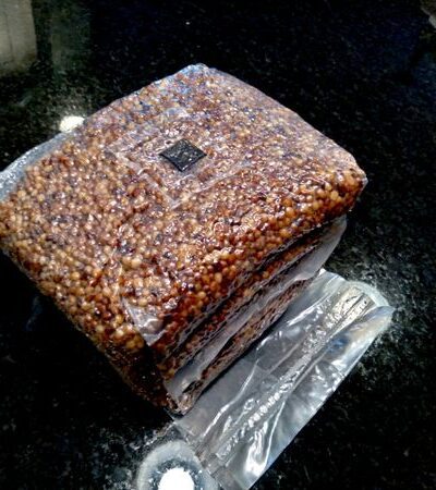 4lb Sterilized Grain for Mushroom Spawn, Inoculation Port Included