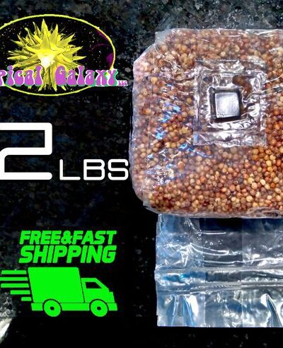 2lbs Sterilized Grain Mushroom Grow Bag, with Inoculation Port