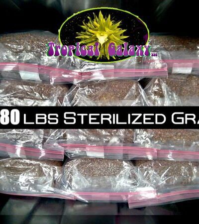 80lbs Bulk Sterilized Grain for Mushroom Spawn ,10x 8lb Bags