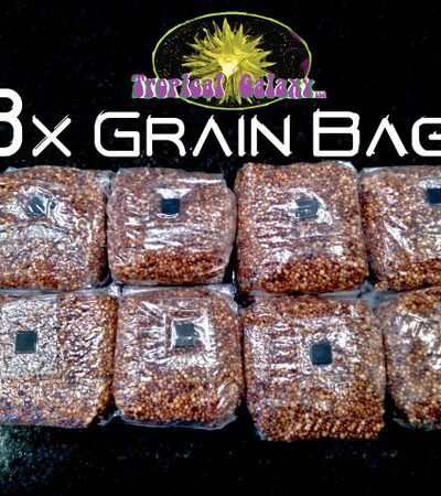 8x 2lb Sterilized Mushroom Grain Bags, 16lbs Total