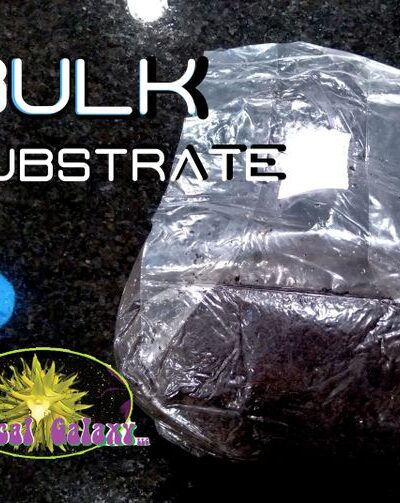 4lbs Mushroom Nutrient Enriched Substrate