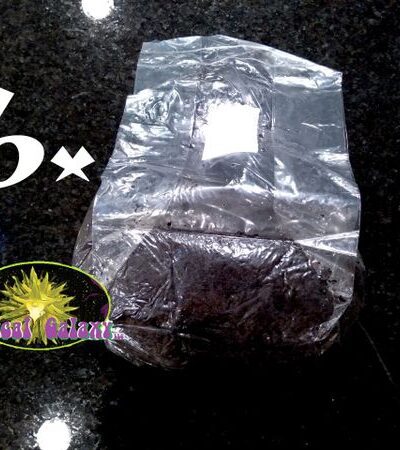 6x 4lb Bags Mushroom Nutrient Enriched Substrate 24lbs Total