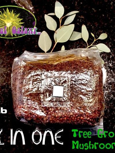 4lb All in One Mushroom Wood/Soy Cultivation Bag, Great for Lion's Mane