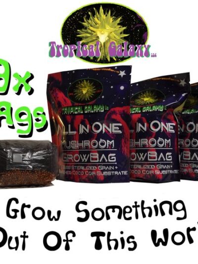 3x All-in-One Mushroom Grow Bags