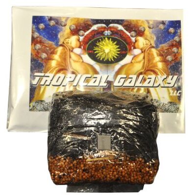 4lb All-in-One Mushroom Grow Bag, New Size and Blend,(everything but the spores)