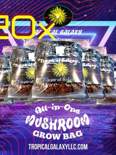 20 x 2lbs All in One Mushroom Grow Bags