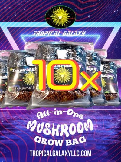 10x2lb All in One Mushroom Grow Bags, Manure Lovers, Sterilized Grain with Coco Coir/Compost Substrate, (everything but the spores)