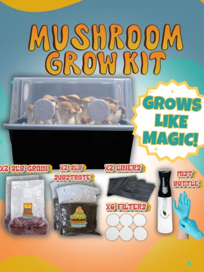 All-in-One Monotubs Kit for Beginners