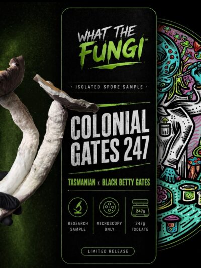 COLONIAL GATES 247 (Tasmanian x BBG) 10cc Isolated Liquid Culture