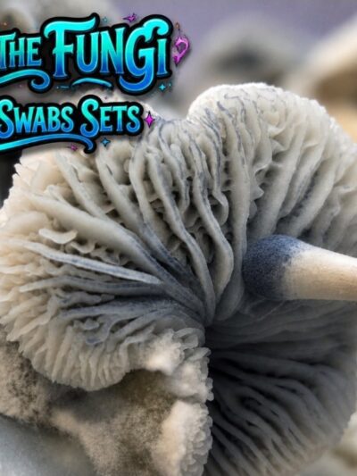 What The Fungi - Deluxe Swab Sets