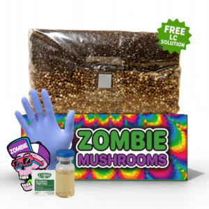 5lb Mushroom Grow Bag | Affordable Kit for Easy Growing