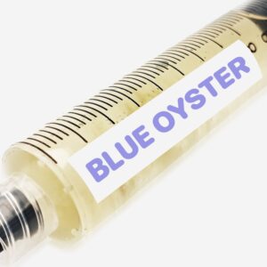 Blue Oyster Liquid Culture Syringe 10mL