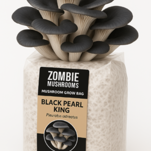 Black Oyster Mushroom Grow Kit - Ready To Fruit Mushroom Bag - 5lb
