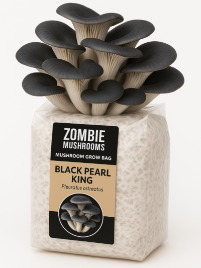Black Oyster Mushroom Grow Kit - Ready To Fruit Mushroom Bag - 5lb