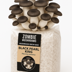 Black Pearl King Mushroom Grow Kit - Ready To Fruit Mushroom Bag - 5lb