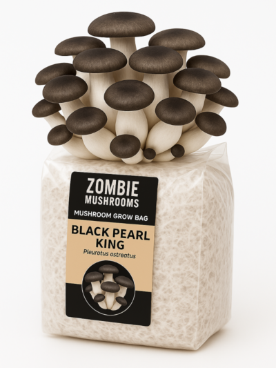 Black Pearl King Mushroom Grow Kit - Ready To Fruit Mushroom Bag - 5lb