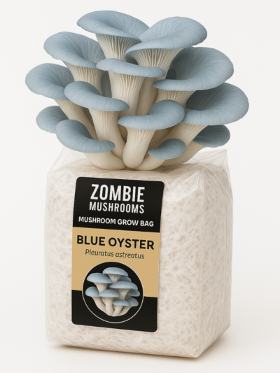 Blue Oyster Mushroom Grow Kit - Ready To Fruit Mushroom Bag - 5lb