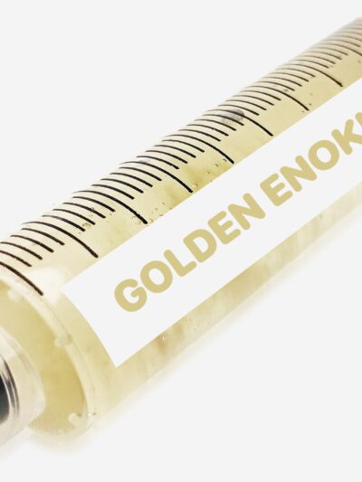 Golden Enoki Liquid Culture Syringe 10mL