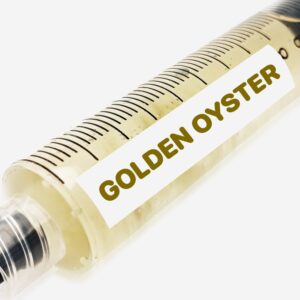 Golden Oyster Liquid Culture Syringe 10mL