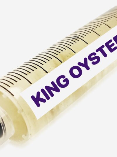 King Oyster Liquid Culture Syringe 10mL