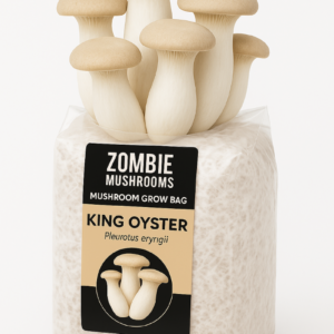 King Oyster Mushroom Grow Kit - Ready To Fruit Mushroom Bag - 5lb