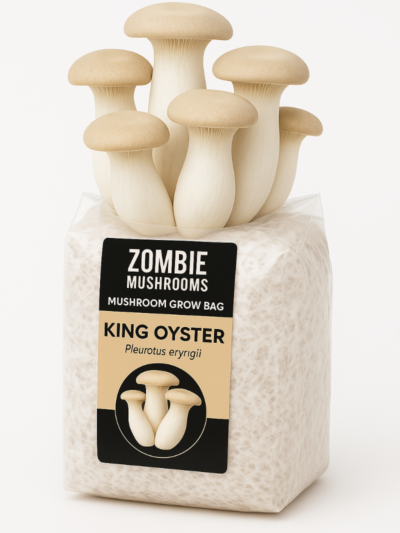 King Oyster Mushroom Grow Kit - Ready To Fruit Mushroom Bag - 5lb