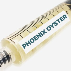 Phoenix Oyster Liquid Culture Syringe 10mL