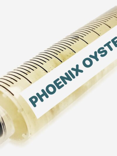 Phoenix Oyster Liquid Culture Syringe 10mL