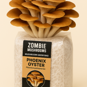 Phoenix Oyster Mushroom Grow Kit - Ready To Fruit Mushroom Bag - 5lb