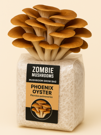 Phoenix Oyster Mushroom Grow Kit - Ready To Fruit Mushroom Bag - 5lb