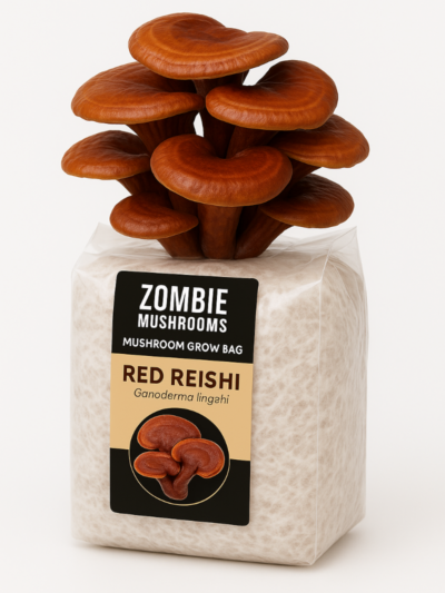 Red Reishi Mushroom Grow Kit - Ready To Fruit Mushroom Bag - 5lb