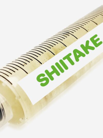 Shiitake Liquid Culture Syringe 10mL