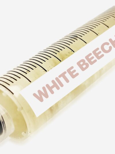 White Beech Liquid Culture Syringe 10mL
